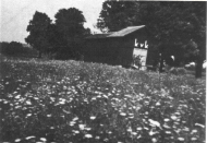 prvi hangar