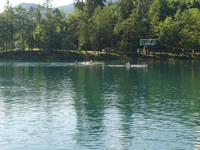 Regata Bled 2008.