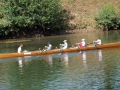 slika081