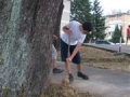 slika042