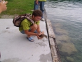 slika10