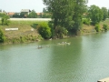 slika014