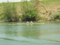 slika038