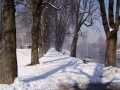 slika05