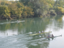 67. Karlovačka veslačka regata